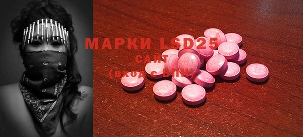 первитин Новодвинск